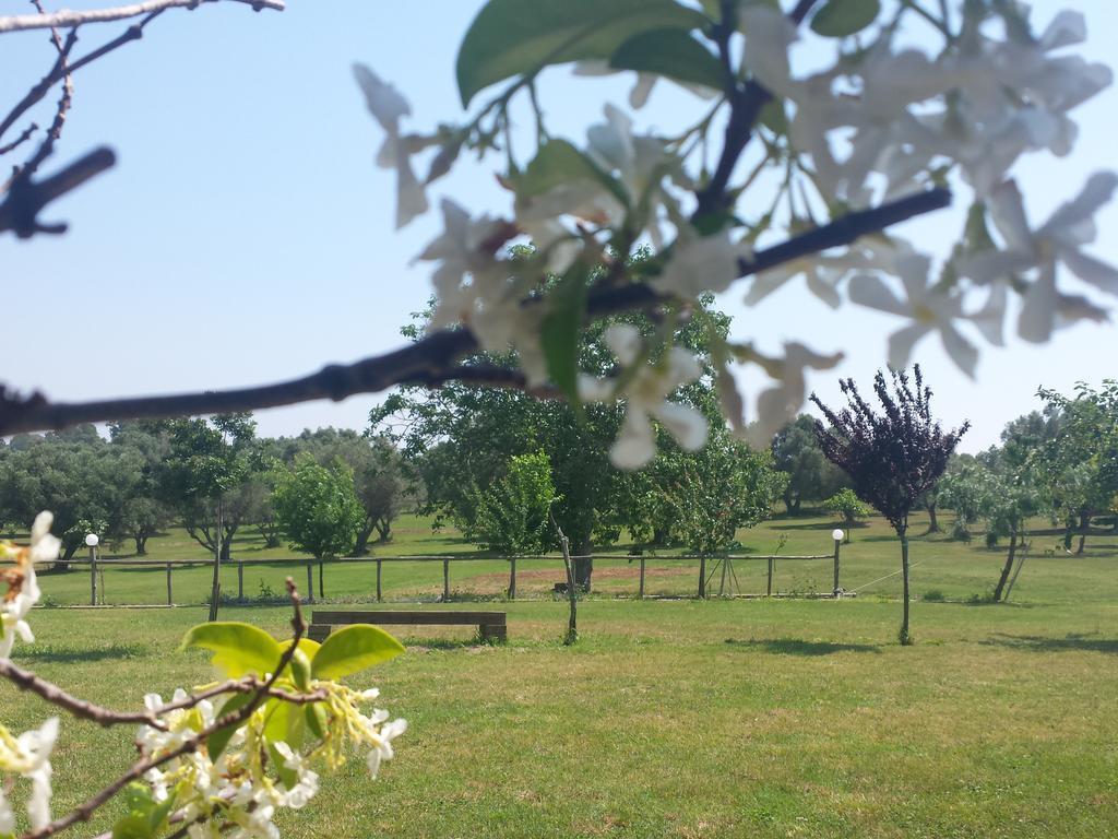 Villa Agriturismo San Matteo à Tarquinia Chambre photo