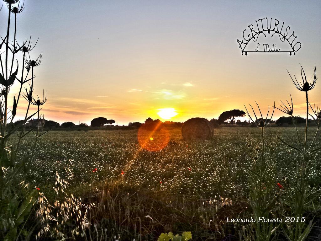 Villa Agriturismo San Matteo à Tarquinia Extérieur photo