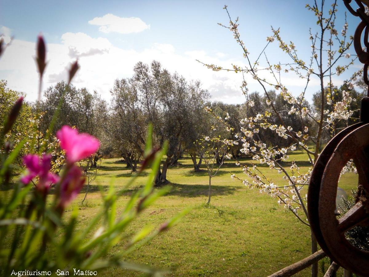 Agriturismo San Matteo Tarquinia Extérieur photo