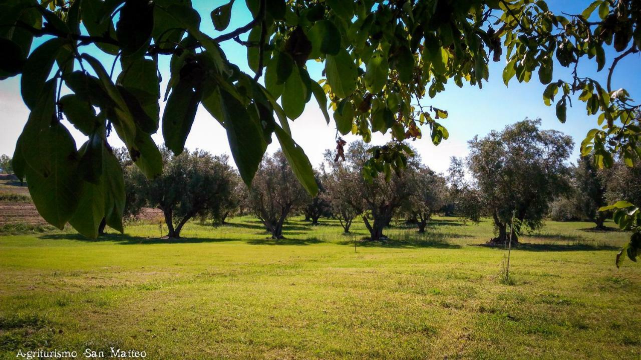 Villa Agriturismo San Matteo à Tarquinia Extérieur photo