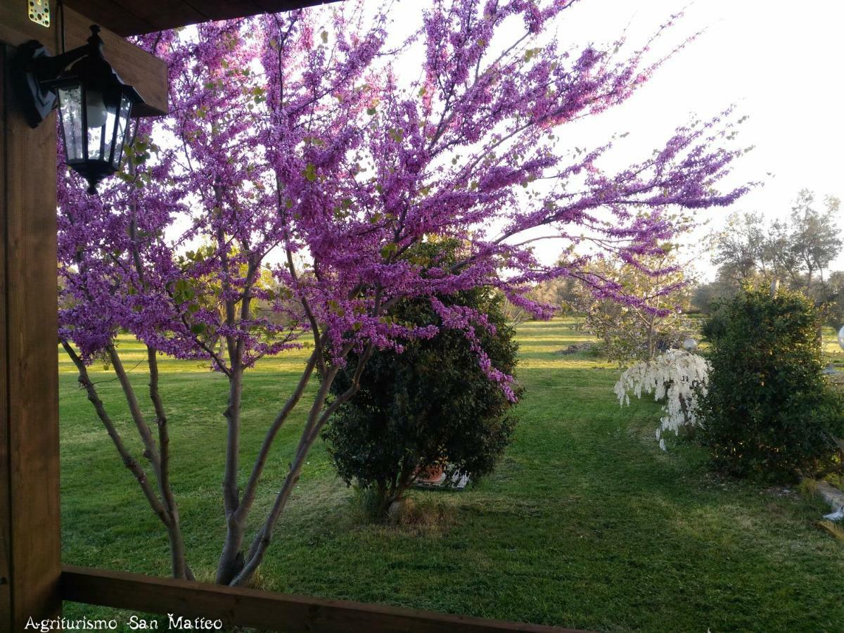 Agriturismo San Matteo Tarquinia Extérieur photo