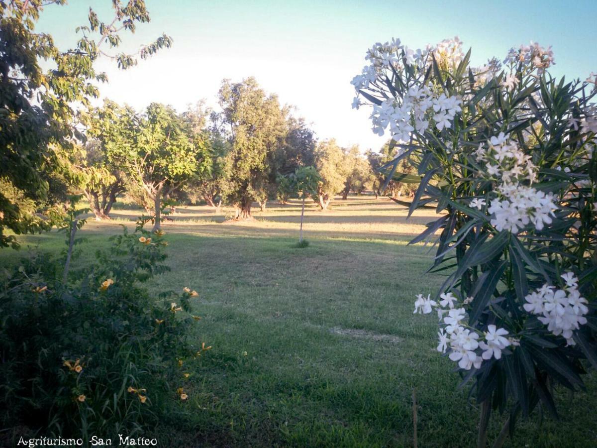 Agriturismo San Matteo Tarquinia Extérieur photo