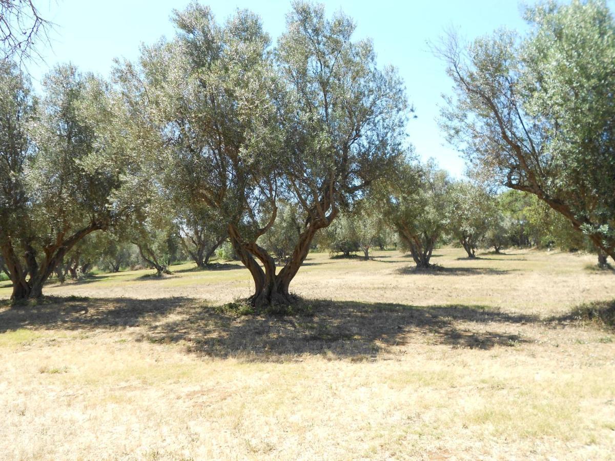 Villa Agriturismo San Matteo à Tarquinia Extérieur photo