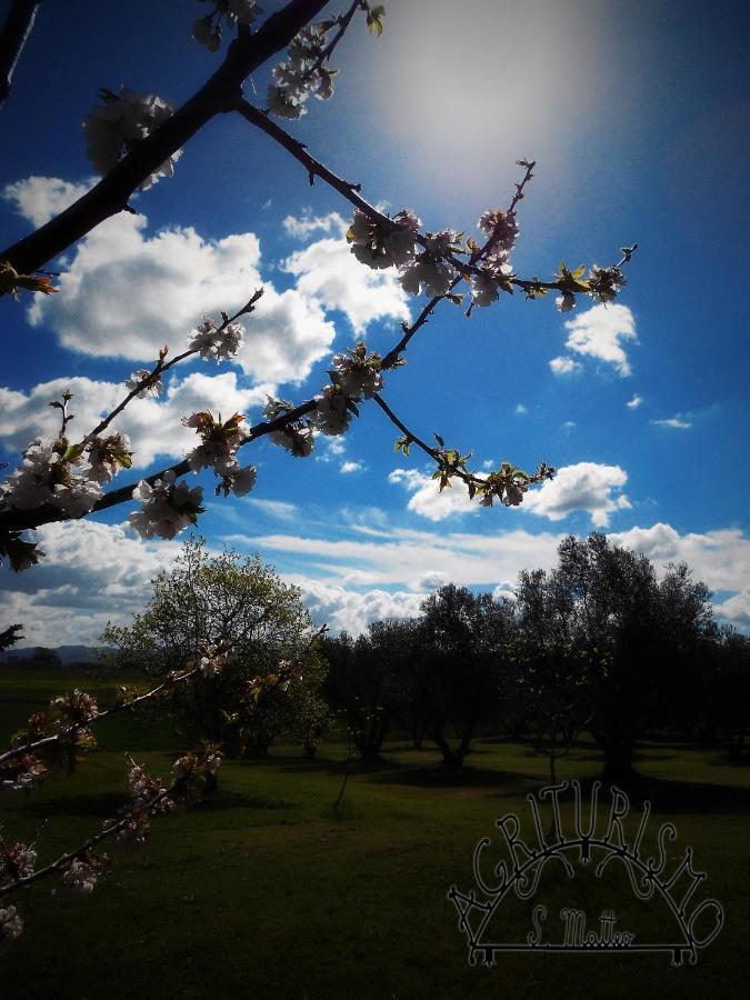 Villa Agriturismo San Matteo à Tarquinia Extérieur photo