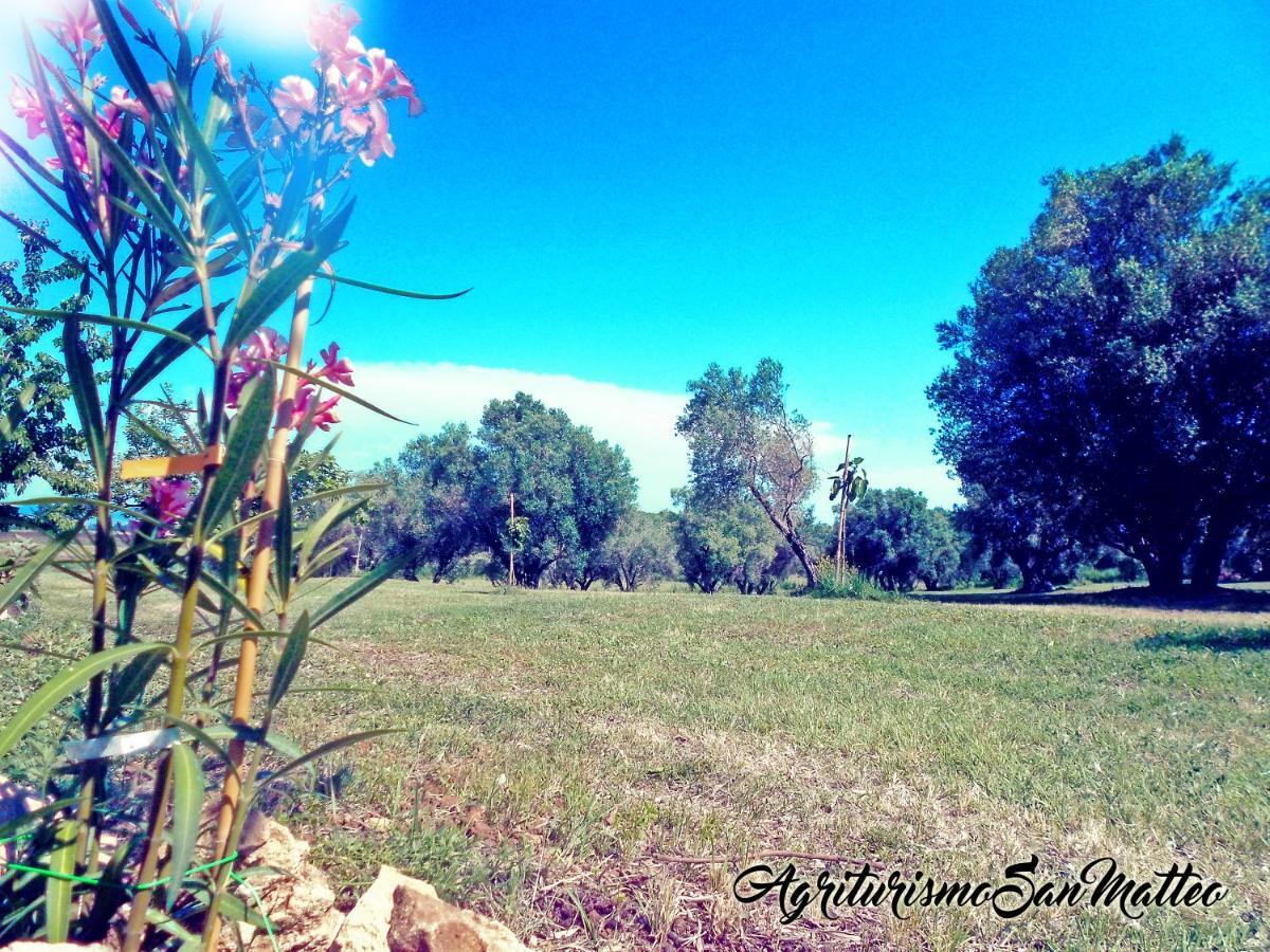 Villa Agriturismo San Matteo à Tarquinia Extérieur photo